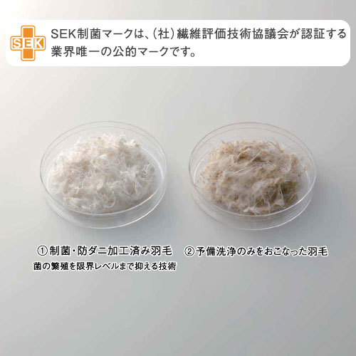 抗菌加工とは、主に臭いに対する抑制技術で 菌の繁殖を「イヤな臭いが発生しない程度」に抑えます。